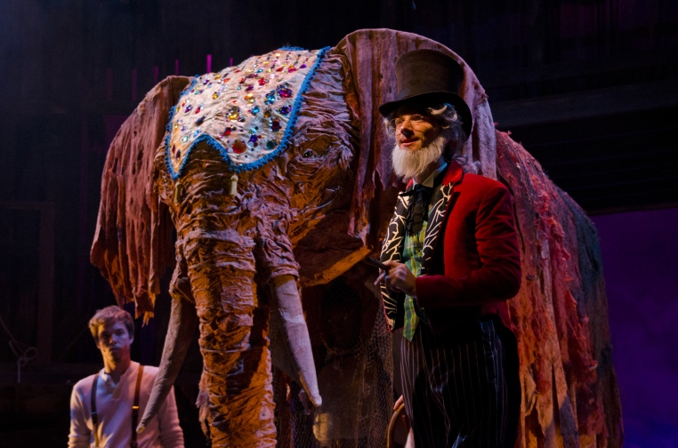 Another Chance to see Circus