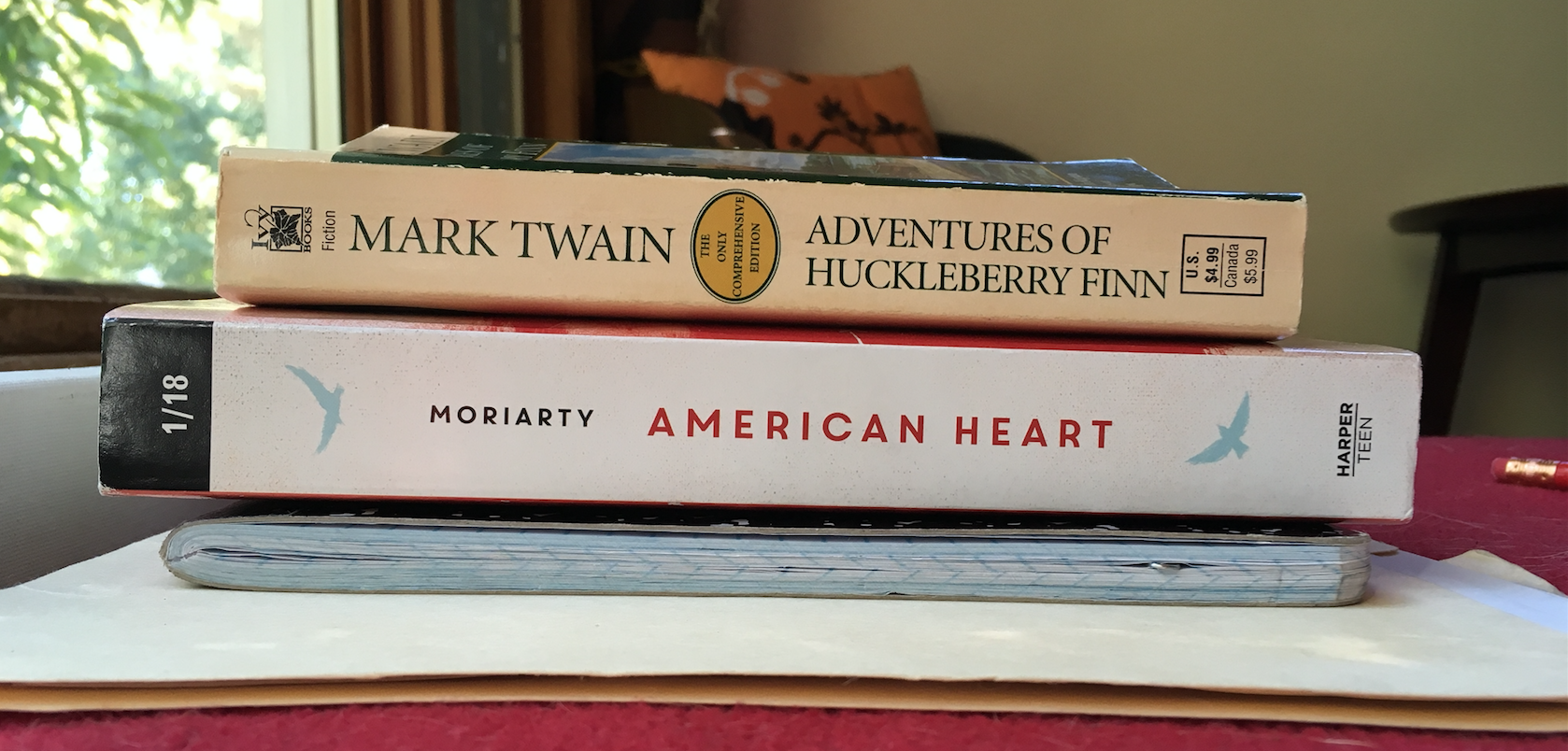 Why I think you should read Laura Moriarty’s American Heart